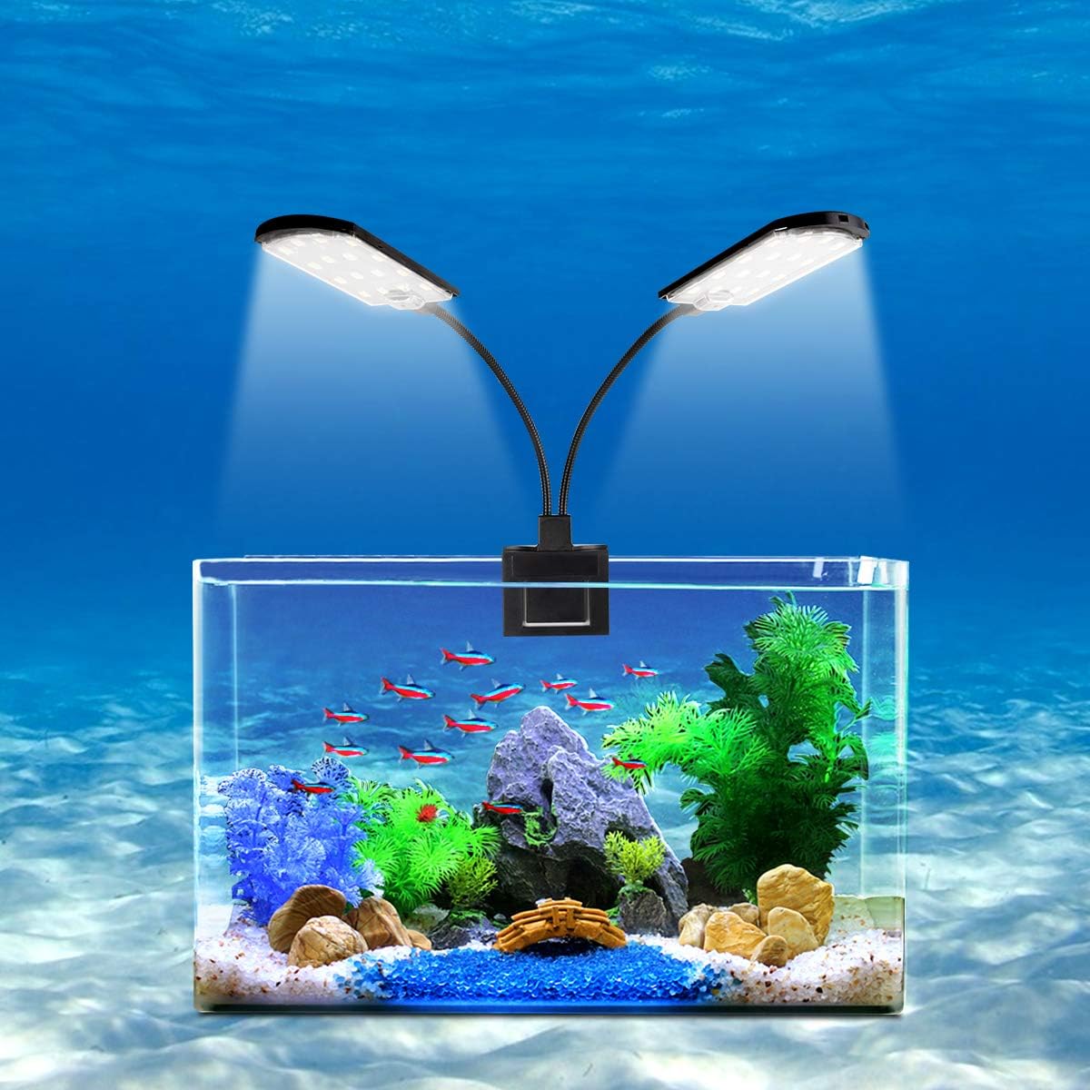 LED aquarium lights