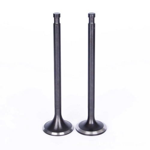 Inlet & Exhaust Valve