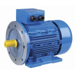 Electric Motor