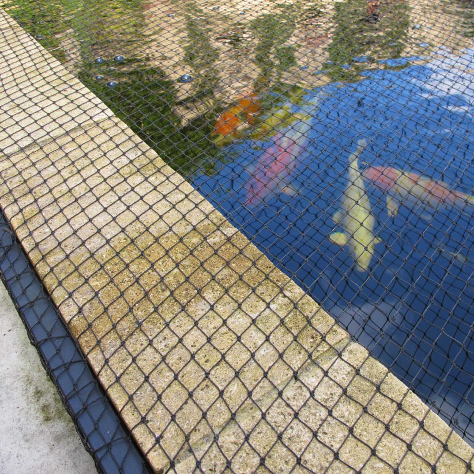 fish pond