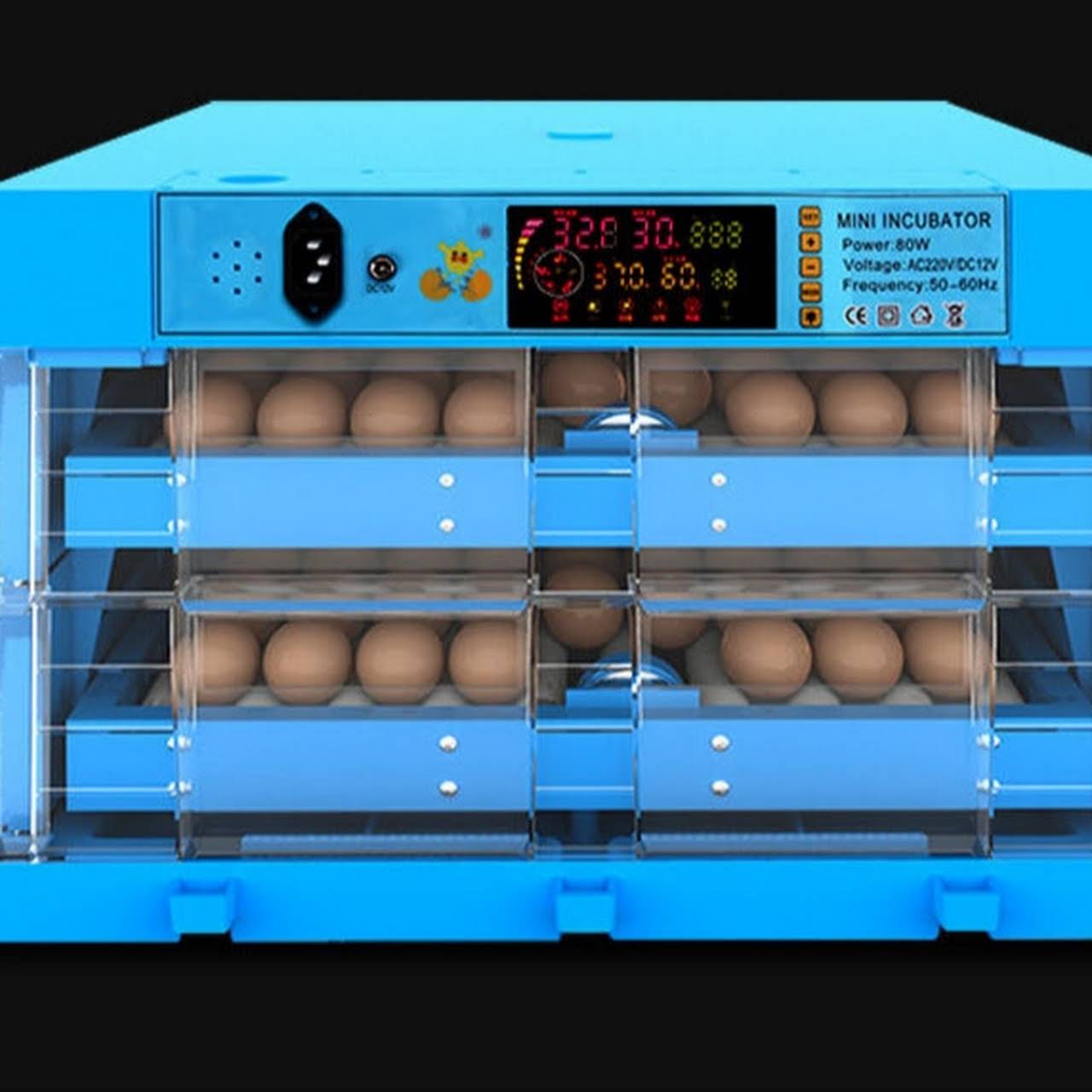 Eggs Incubators