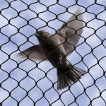 Anti-Bird Nets for Crops
