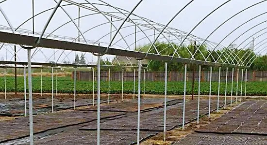 shade net