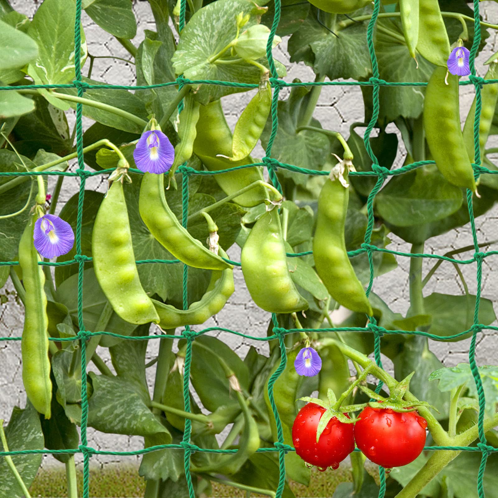 Trellis Netting