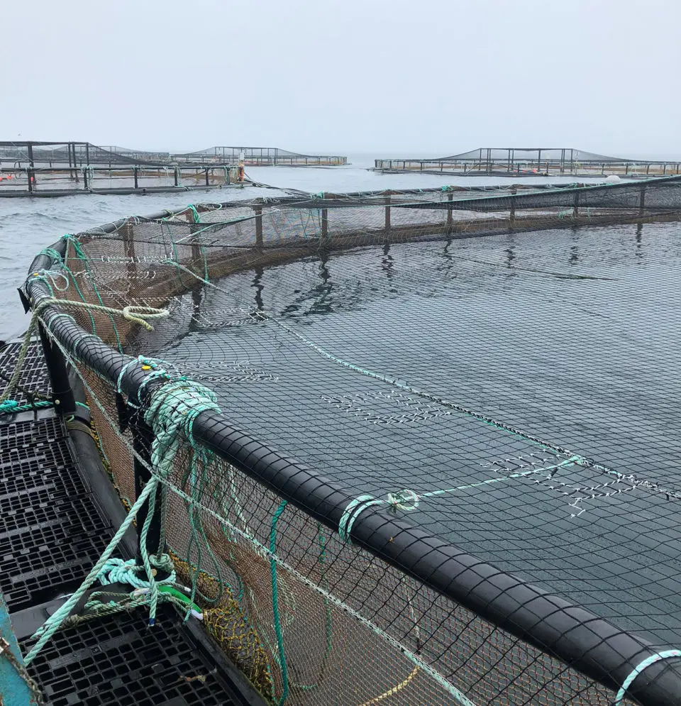 Aquaculture