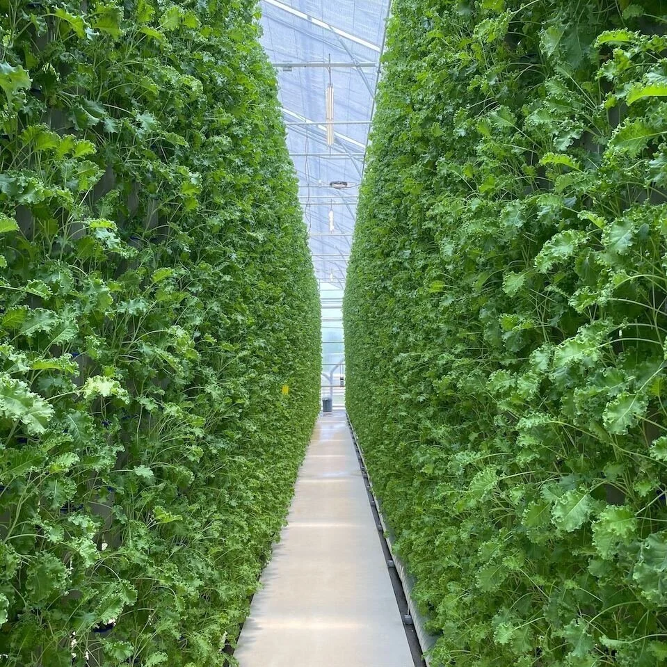 Modern Farming