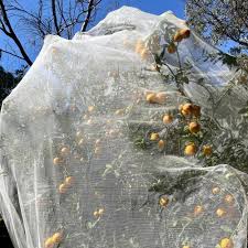peach net