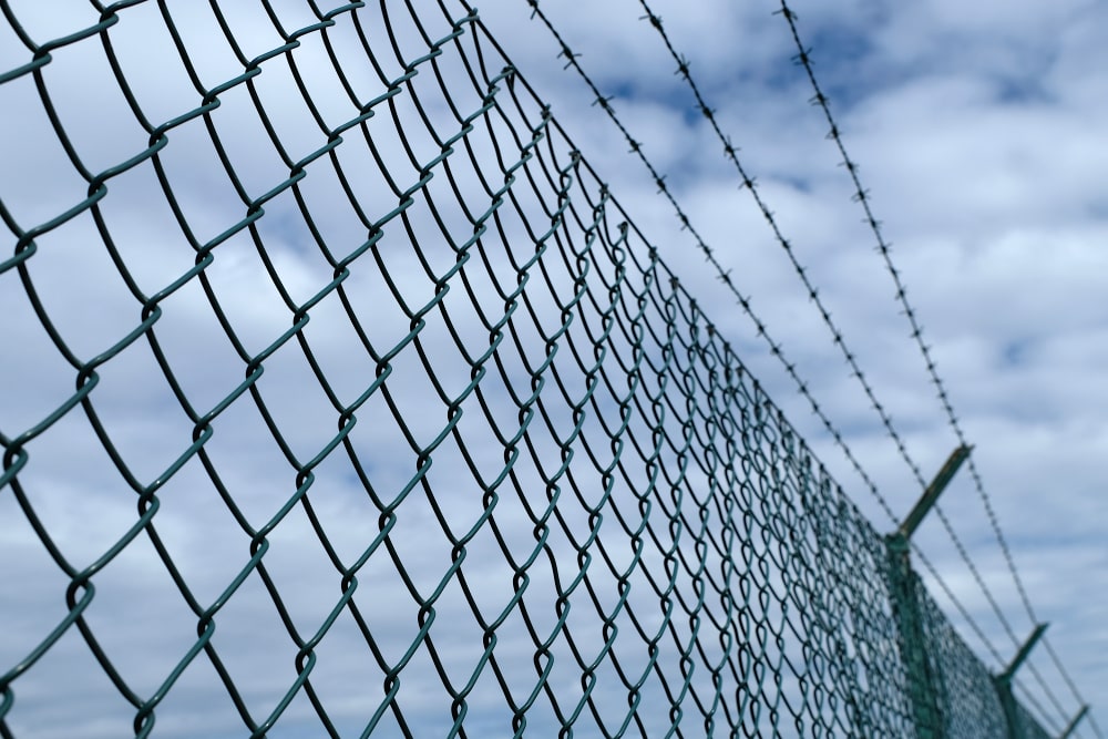 fencing mesh