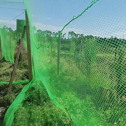 netting solutions Kenya