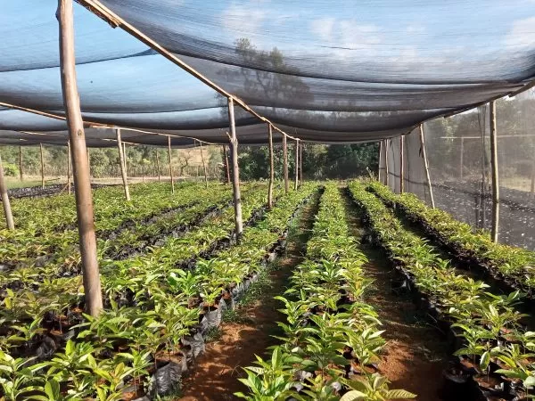 environmental net