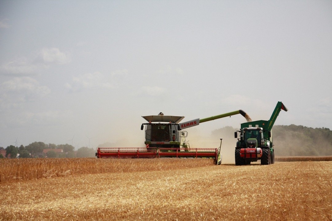 farming