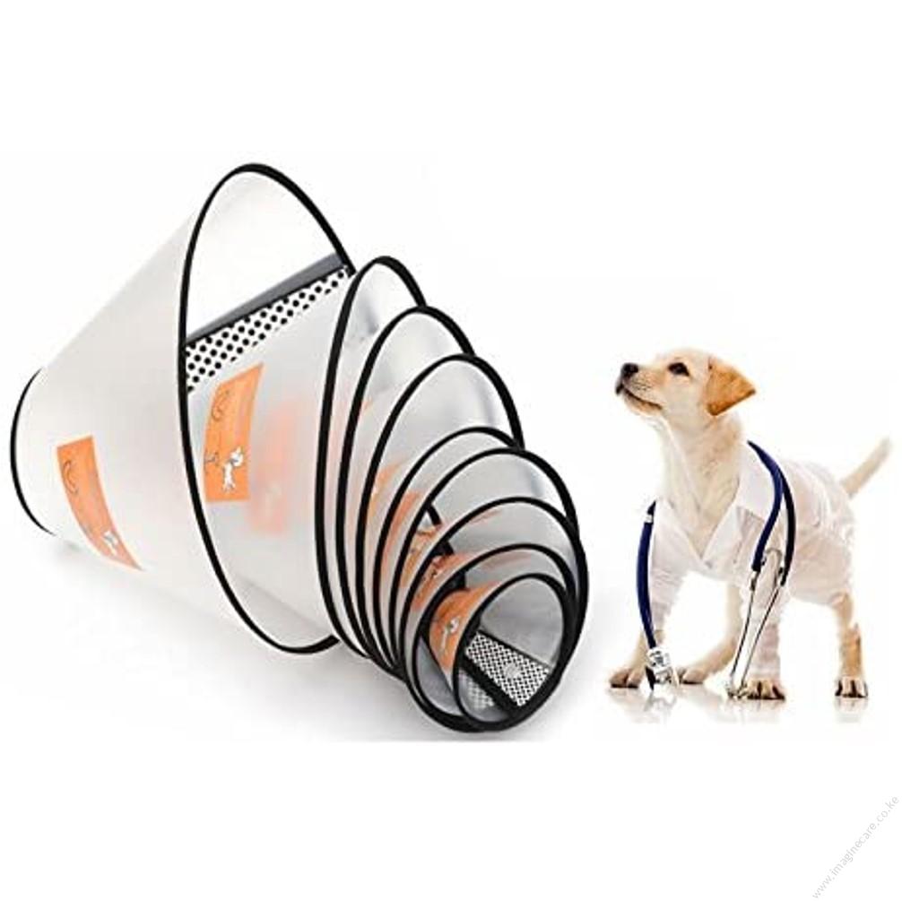 Pet