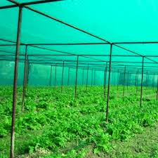 agricultura
