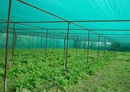 agricultural nets Kenya