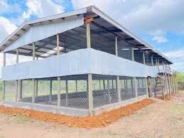 Poultry netting
