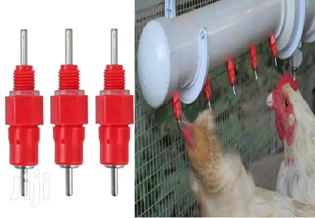 poultry drinkers Kenya