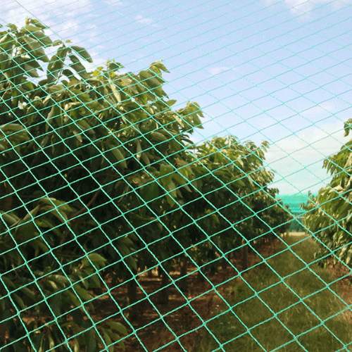crop protection nets Kenya