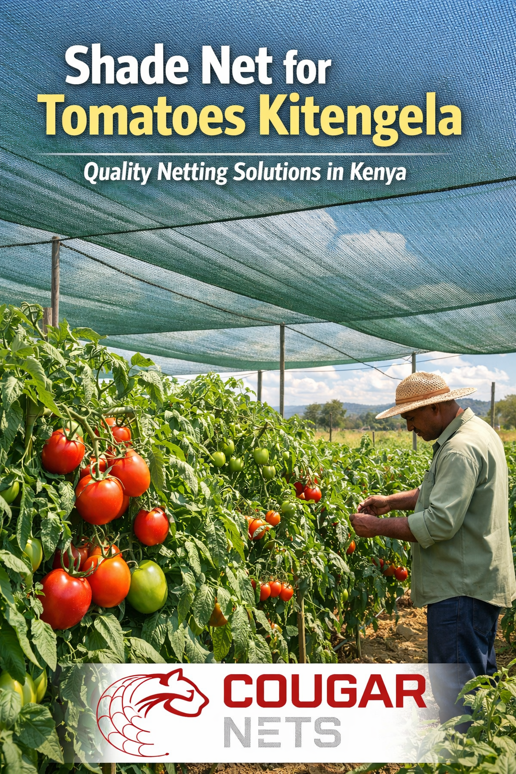 shade net for tomatoes