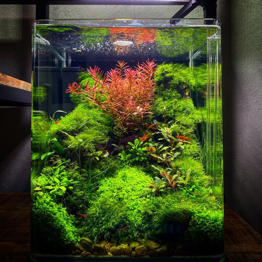 DIY LED Aquarium