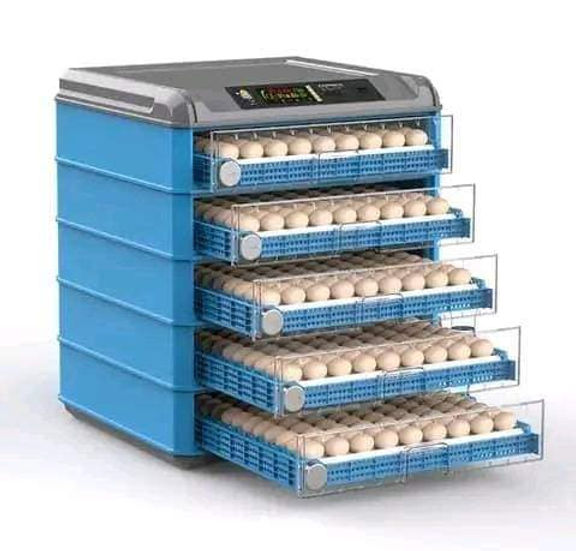 automatic incubators Kenya