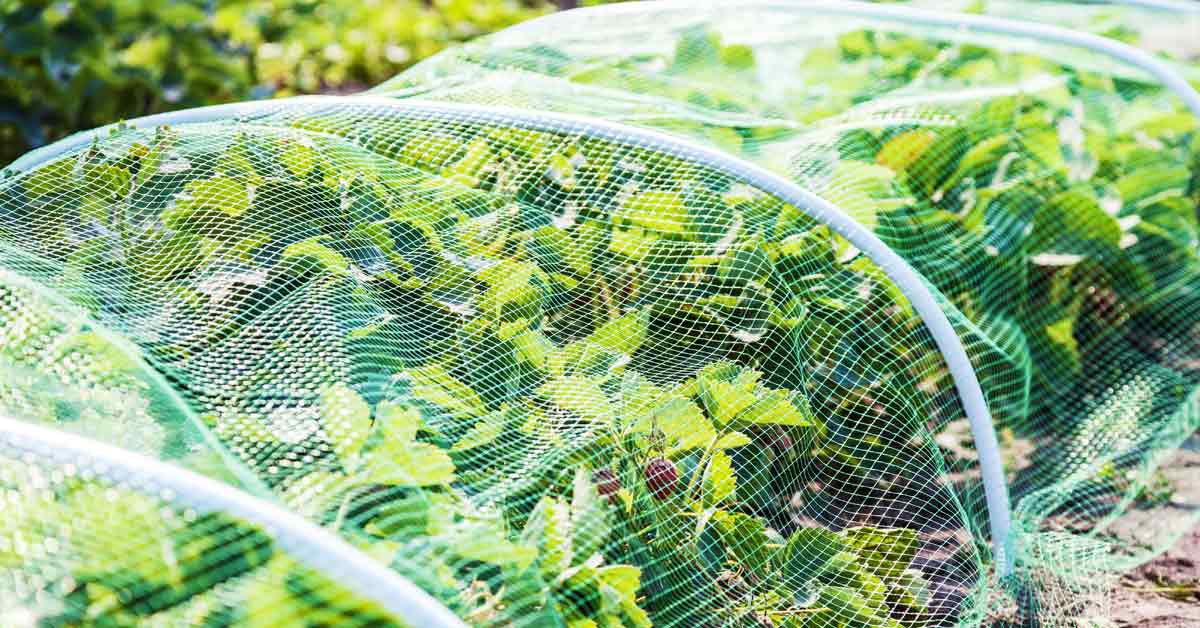 Garden Nets
