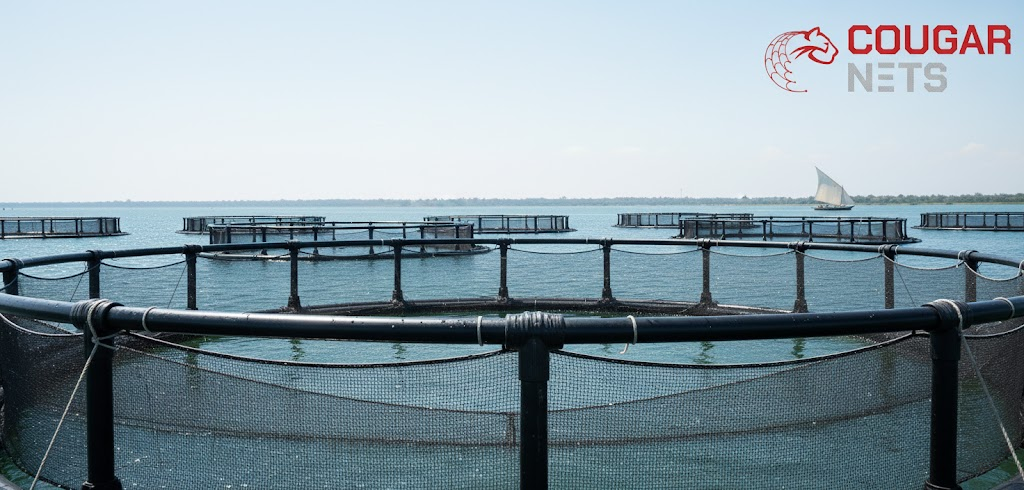 UV stabilized nets