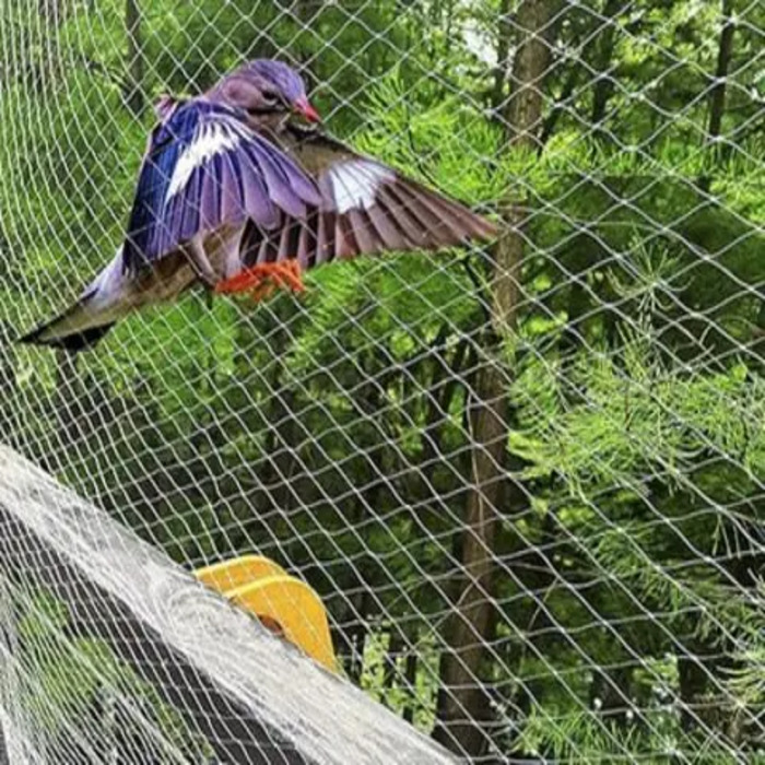 anti-predator nets
