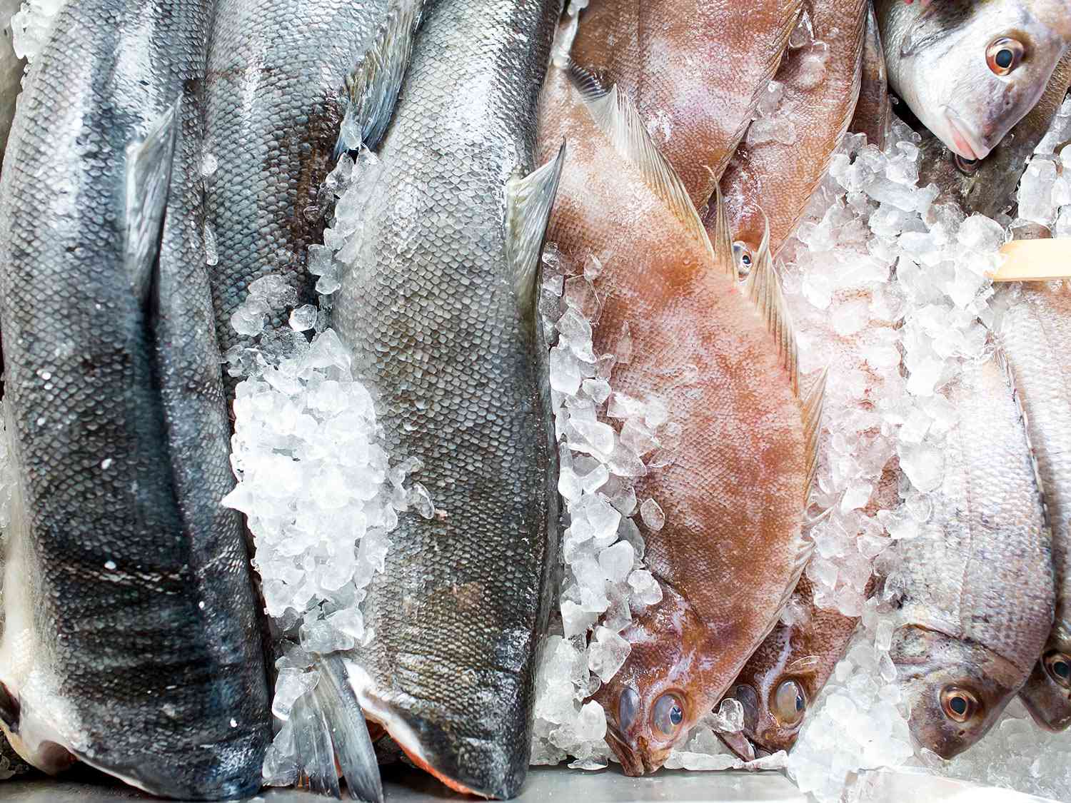 fish cooler Kenya