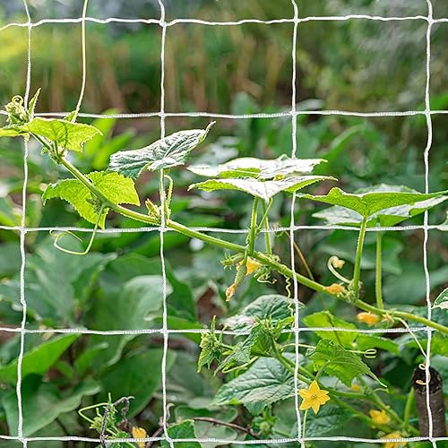 trellis nets