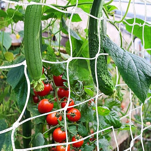 plant support trellis netting