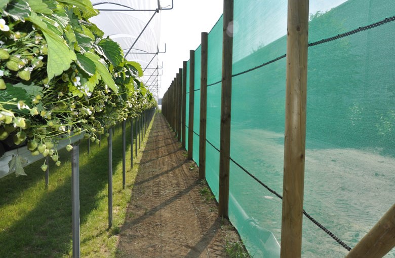 uv stabilized netting