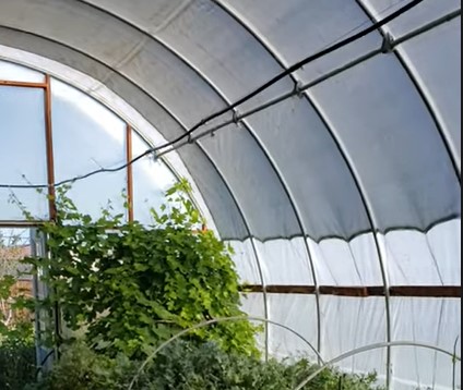 nursery shade cloth