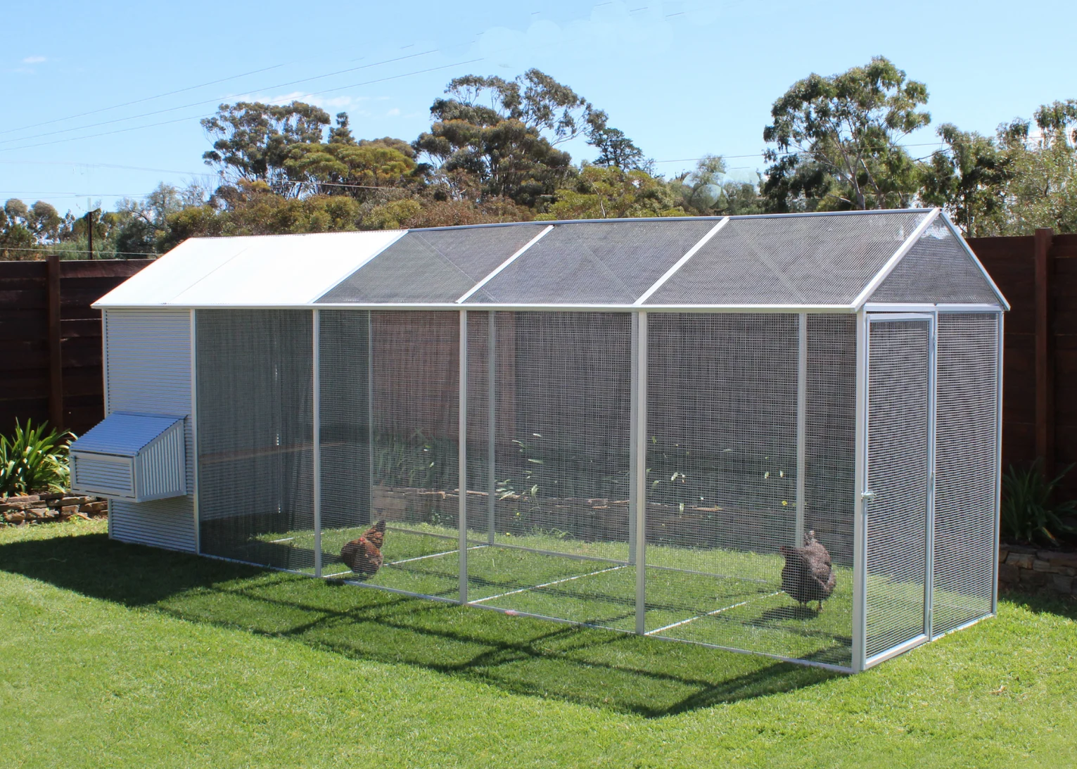 backyard chicken coop