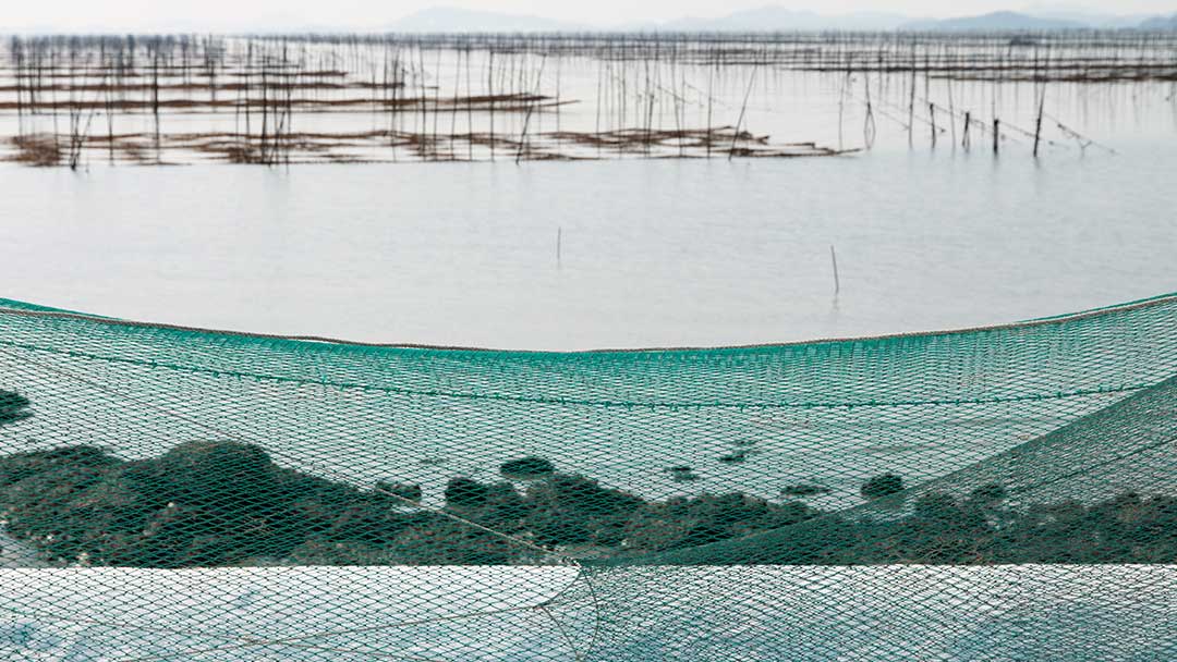 coastal aquaculture