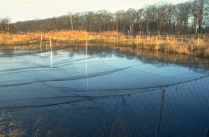 Fish Hatchery Netting – Quality Netting Solutions in Kenya | Cougar Nets