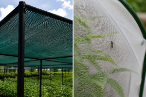 Shade Net vs Insect Net: 7 Key Differences You Must Know