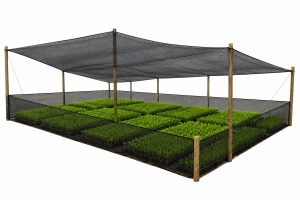 Best Shade Net for a Tea Nursery: Complete 2026 Guide for Kericho and Nandi Tea Growers