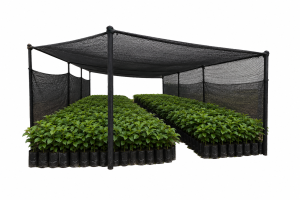 Best Shade Net for Coffee Seedlings: Complete 2026 Guide to the Hardening-Off Schedule in Kenya