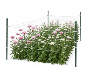 Netting for Flower Farms: Insect Exclusion and Light Control for Export Roses in Naivasha (2026 Guide)