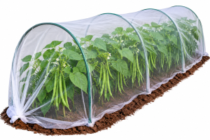 Insect Net for French Beans: The Exporter’s Spec Sheet for Kenya (2026 Guide)
