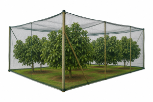Netting for Avocado Orchards: Best Wind, Bird and Sun Protection Guide 2026