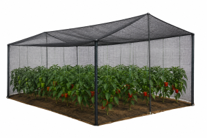 Shade Net for Capsicum: Best Light, Heat and Mesh Protection Guide 2026