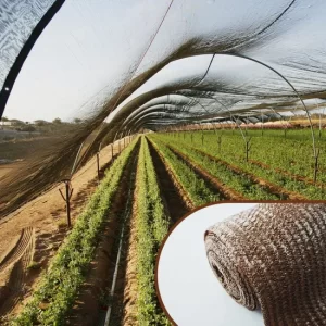 How Technology is changing agricultural production in Kenya
