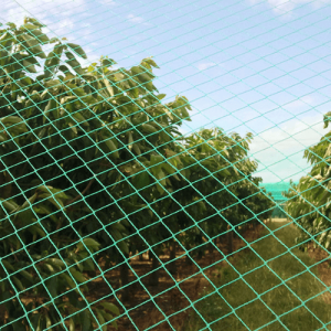 Protection Nets in Kenya:Benefits of Hail Protection for Cash Crops | Cougar Nets