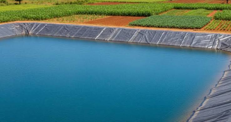dams