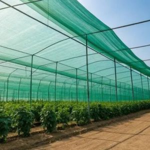 Choosing the Right Color for Your Shade Nets in Kenya
