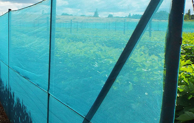 Windbreak Nets