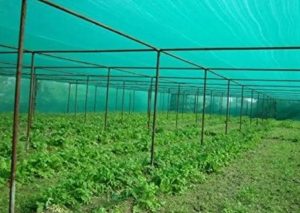 Crop Protection Nets in Kenya: Best Anti-Hail & Anti-Bird Farming Solution 2026