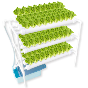 Hydroponic System